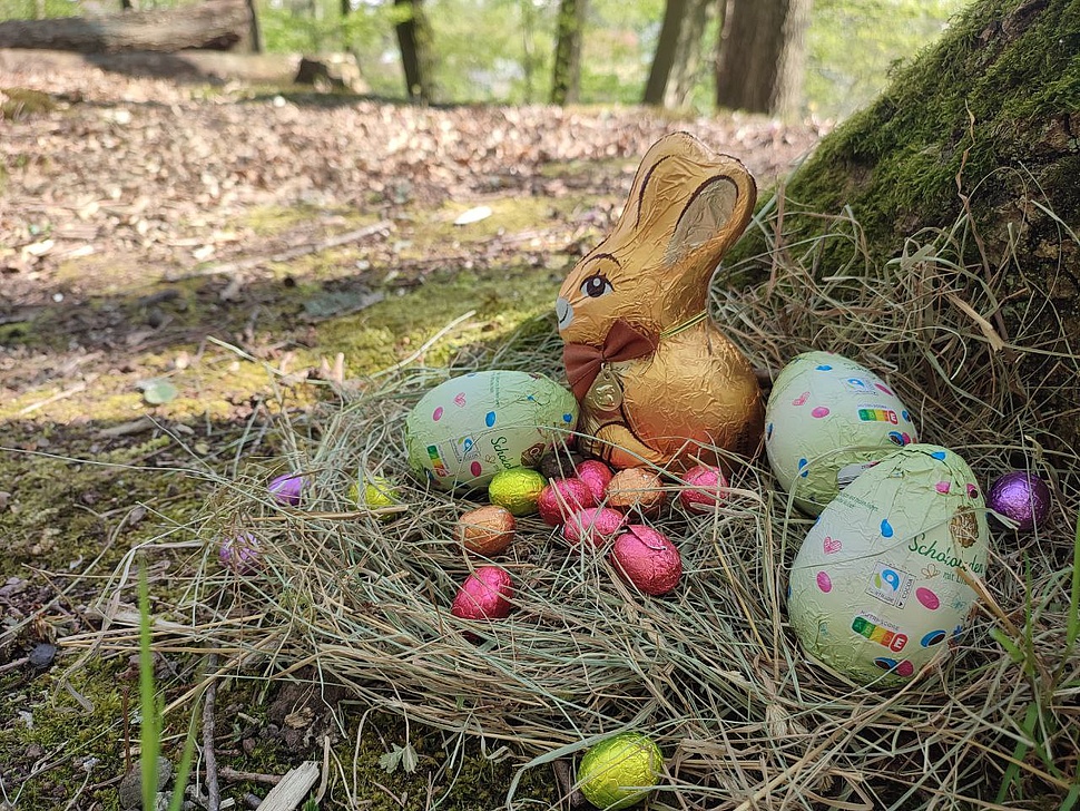 Wer findet das Osternest? Osternest