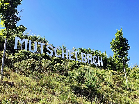 Mutschelbacher Hollywoodsign